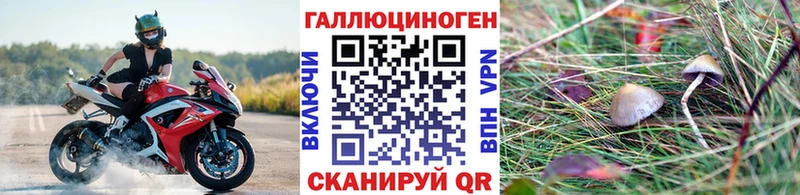 закладка  кракен маркетплейс  Псилоцибиновые грибы мухоморы  Белая Калитва 